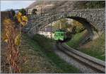 Die Trauben links im Bild sind zwar nicht scharf, aber herrlich s�ss; im Bild zudem der ASD BDe 4/4 404, der mit seinem Bt 432 als ASD Regionalzug 448 kurz nach der Station Aigle Ch�teau (vormals