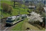 Der wohl letzte Fr�hling der CEV /MVR GTW Be 2/6 an der Riviera: Der CEV / MVR GTW Be 2/6 7004 als Regionalzug 2333 Les Avants - Montreux kurz vor Sonzier.