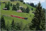 Ein BRB Dampfzug hat die Planalp verlassen und fährt nun talwärts.